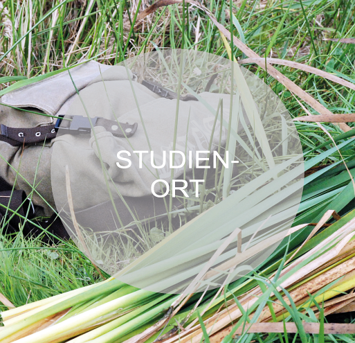 Studienort